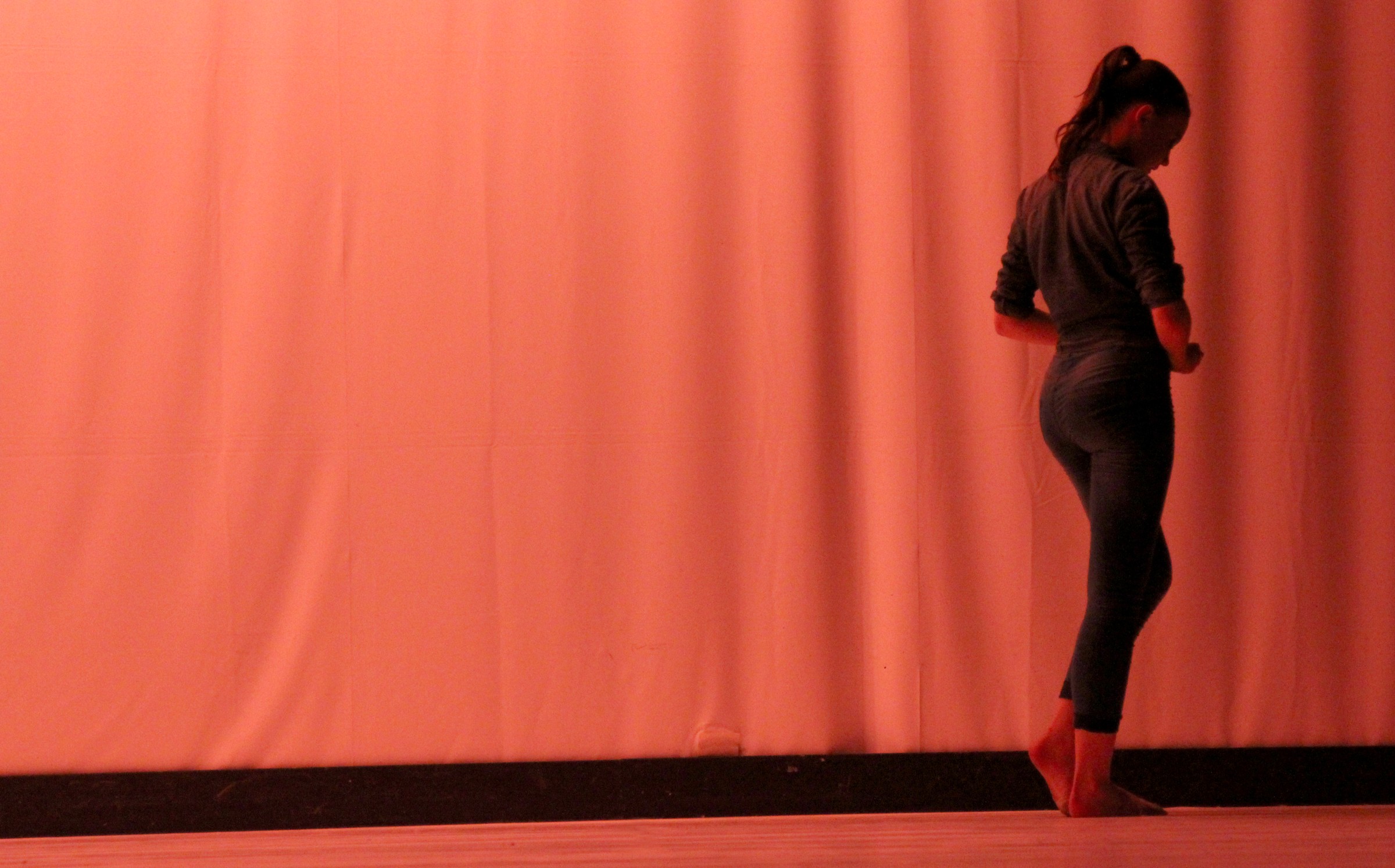 Archivio spettacoli Ashkenazy Ballet Center
